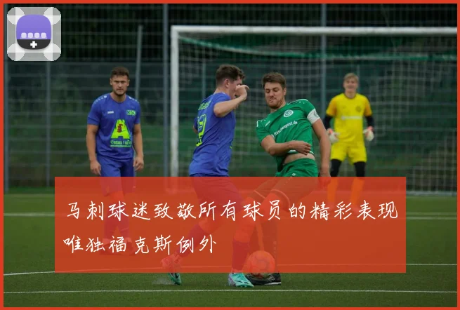 马刺球迷致敬所有球员的精彩表现唯独福克斯例外