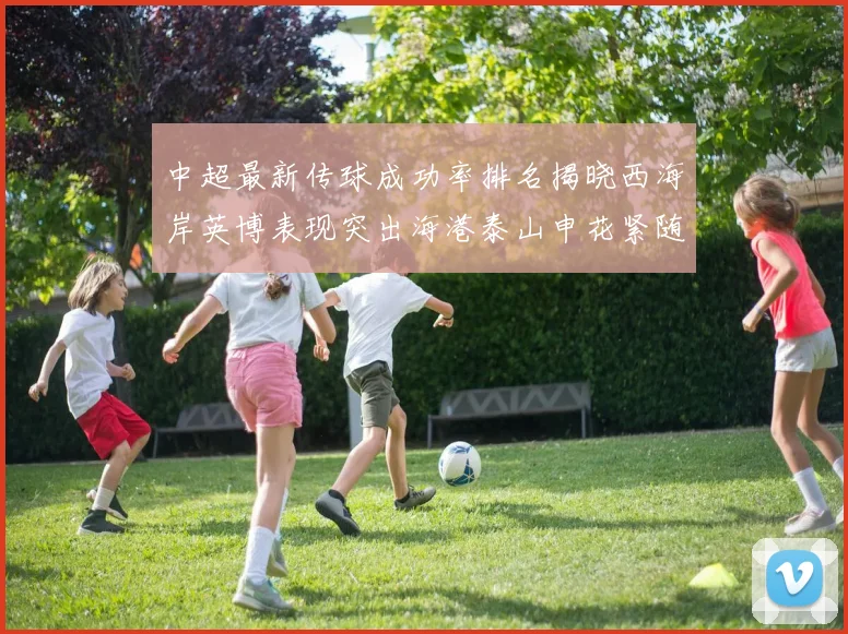 中超最新传球成功率排名揭晓西海岸英博表现突出海港泰山申花紧随其后